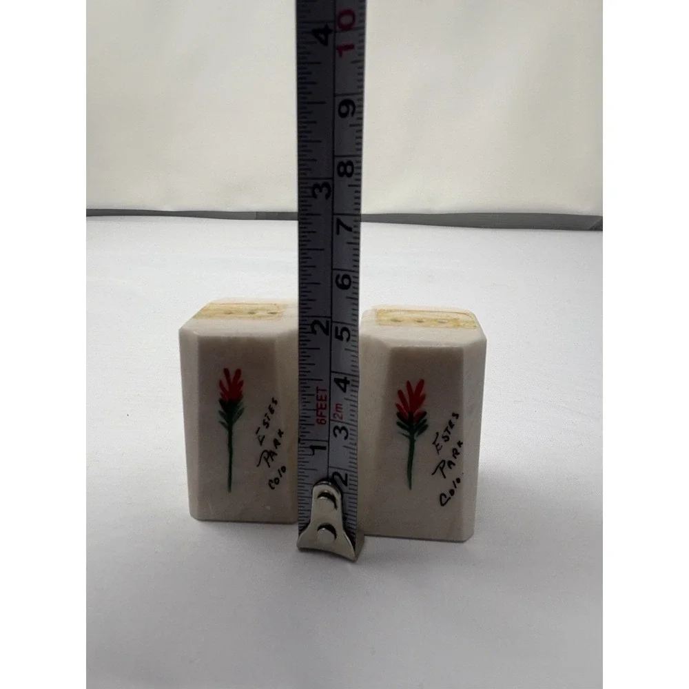 Vintage Colorado Salt Pepper Shakers Hand Painted Floral Stone No Stoppers Tape
